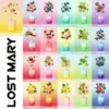 Lost Mary Box